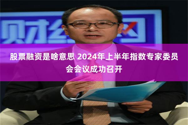 股票融资是啥意思 2024年上半年指数专家委员会会议成功召开