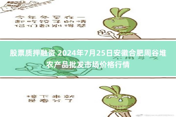 股票质押融资 2024年7月25日安徽合肥周谷堆农产品批发市场价格行情