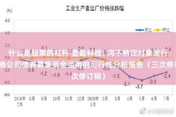 什么是股票的杠杆 显盈科技: 向不特定对象发行可转换公司债券募集资金运用的可行性分析报告（三次修订稿）