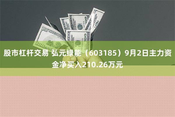 股市杠杆交易 弘元绿能（603185）9月2日主力资金净买入210.26万元