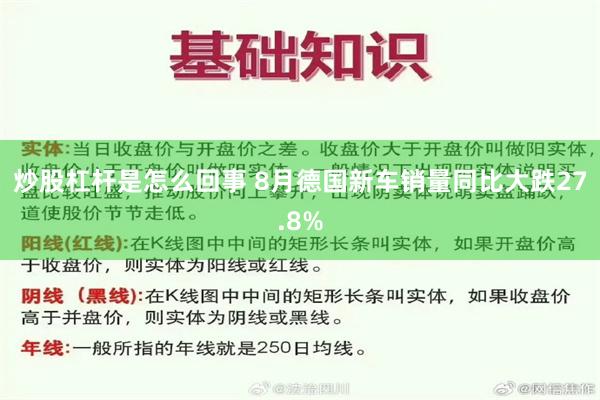 炒股杠杆是怎么回事 8月德国新车销量同比大跌27.8%