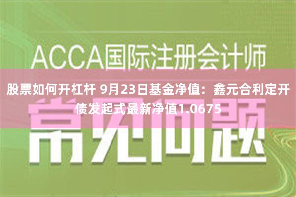 股票如何开杠杆 9月23日基金净值：鑫元合利定开债发起式最新净值1.0675