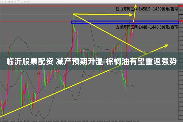 临沂股票配资 减产预期升温 棕榈油有望重返强势