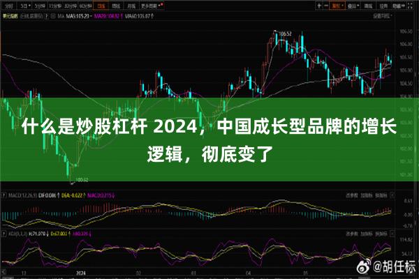 什么是炒股杠杆 2024，中国成长型品牌的增长逻辑，彻底变了