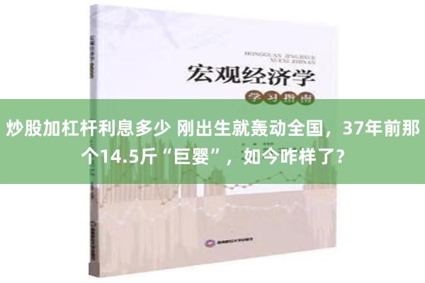 炒股加杠杆利息多少 刚出生就轰动全国，37年前那个14.5斤“巨婴”，如今咋样了？